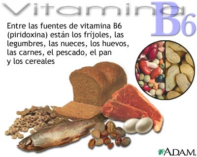 Vitamina b6 (piridoxina)